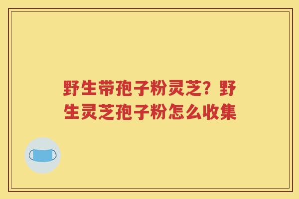 野生带孢子粉灵芝？野生灵芝孢子粉怎么收集