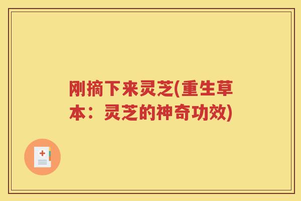 刚摘下来灵芝(重生草本：灵芝的神奇功效)