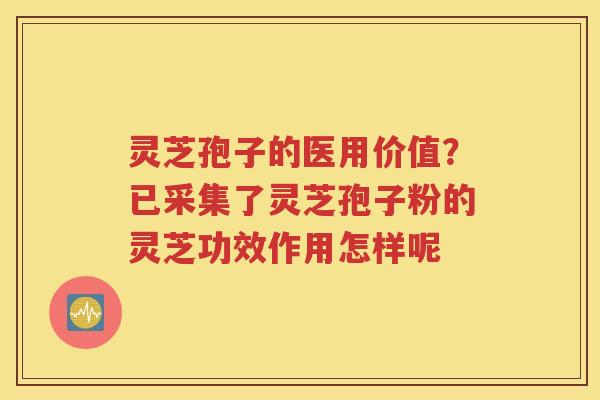 灵芝孢子的医用价值？已采集了灵芝孢子粉的灵芝功效作用怎样呢