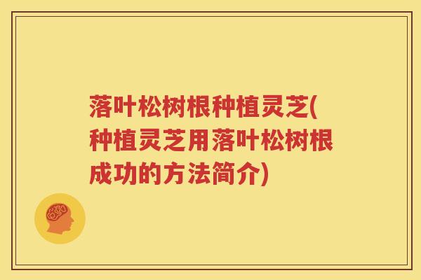 落叶松树根种植灵芝(种植灵芝用落叶松树根成功的方法简介)