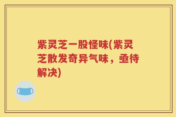 紫灵芝一股怪味(紫灵芝散发奇异气味，亟待解决)