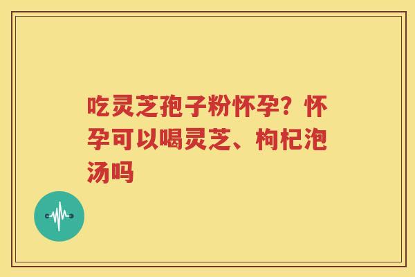 吃灵芝孢子粉怀孕？怀孕可以喝灵芝、枸杞泡汤吗