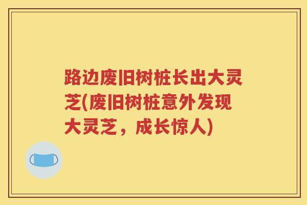 路边废旧树桩长出大灵芝(废旧树桩意外发现大灵芝，成长惊人)