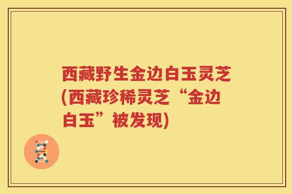 西藏野生金边白玉灵芝(西藏珍稀灵芝“金边白玉”被发现)