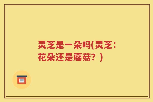 灵芝是一朵吗(灵芝：花朵还是蘑菇？)