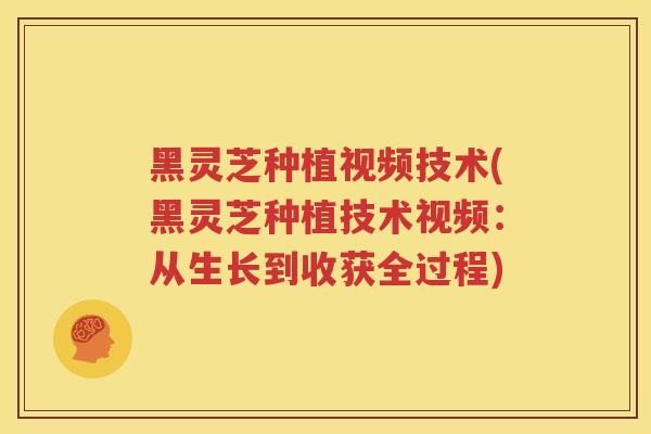 黑灵芝种植视频技术(黑灵芝种植技术视频：从生长到收获全过程)