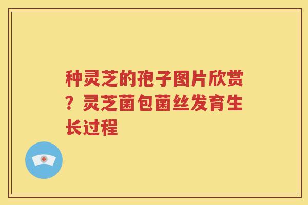 种灵芝的孢子图片欣赏？灵芝菌包菌丝发育生长过程