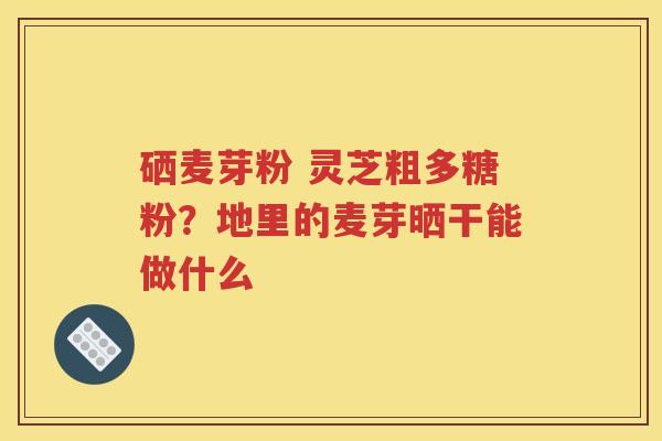 硒麦芽粉 灵芝粗多糖粉？地里的麦芽晒干能做什么