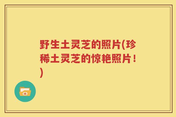 野生土灵芝的照片(珍稀土灵芝的惊艳照片！)
