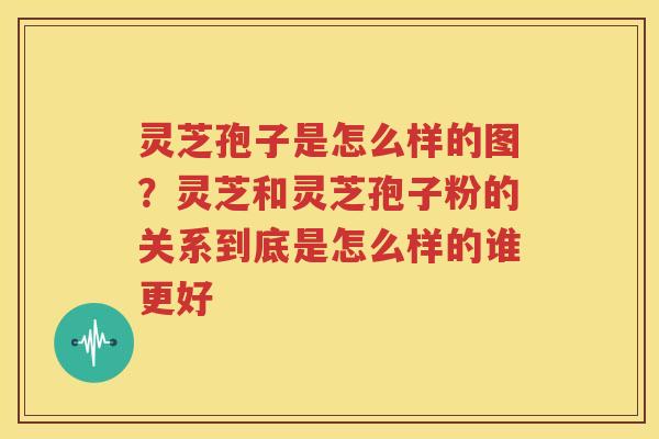 灵芝孢子是怎么样的图？灵芝和灵芝孢子粉的关系到底是怎么样的谁更好