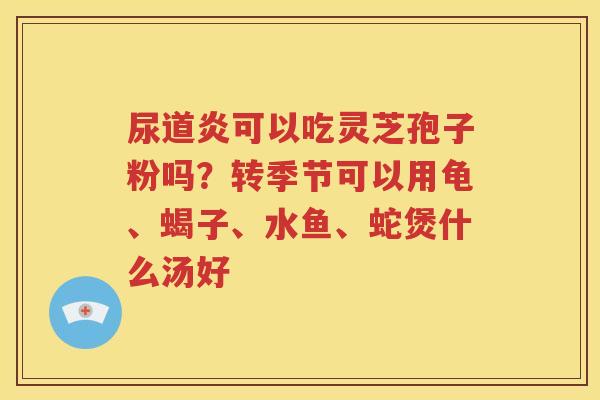 尿道炎可以吃灵芝孢子粉吗？转季节可以用龟、蝎子、水鱼、蛇煲什么汤好