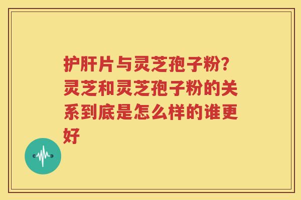 护肝片与灵芝孢子粉？灵芝和灵芝孢子粉的关系到底是怎么样的谁更好