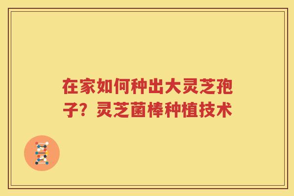 在家如何种出大灵芝孢子？灵芝菌棒种植技术