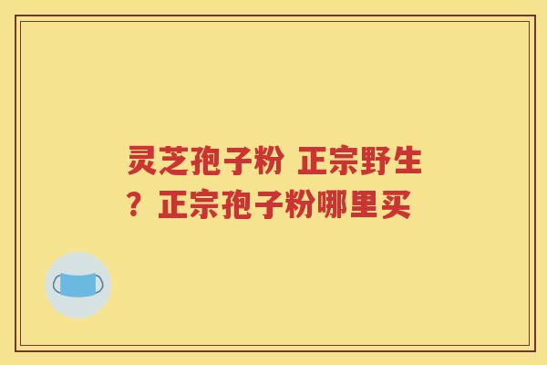 灵芝孢子粉 正宗野生？正宗孢子粉哪里买