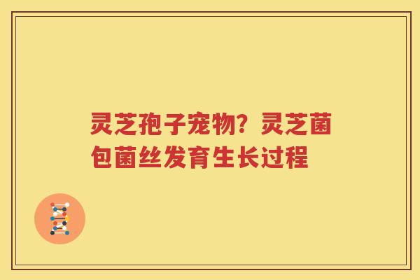 灵芝孢子宠物？灵芝菌包菌丝发育生长过程
