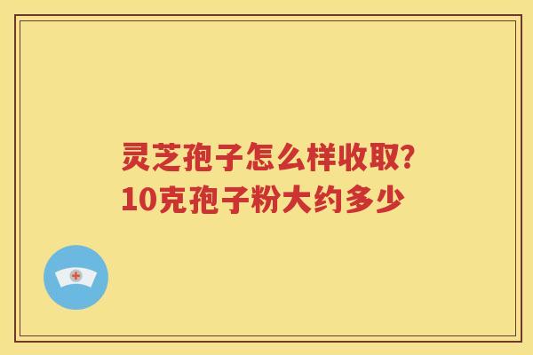 灵芝孢子怎么样收取？10克孢子粉大约多少