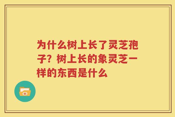 为什么树上长了灵芝孢子？树上长的象灵芝一样的东西是什么
