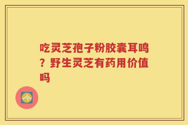 吃灵芝孢子粉胶囊耳鸣？野生灵芝有药用价值吗