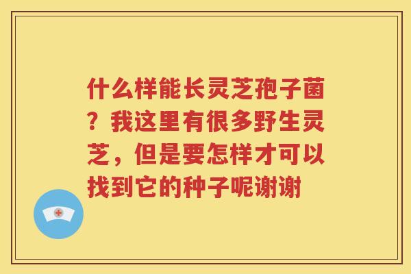 什么样能长灵芝孢子菌？我这里有很多野生灵芝，但是要怎样才可以找到它的种子呢谢谢