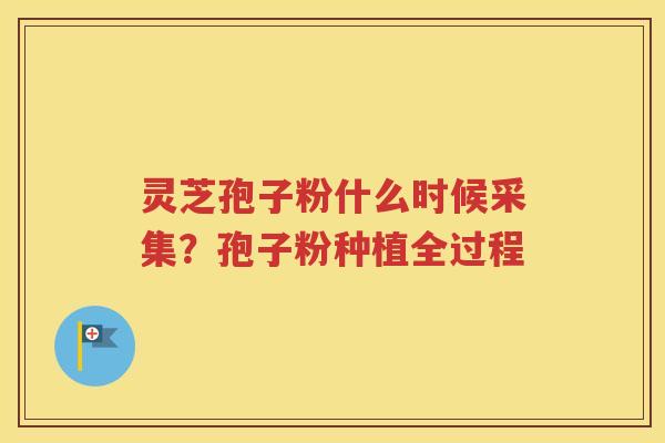 灵芝孢子粉什么时候采集？孢子粉种植全过程
