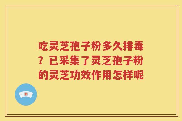 吃灵芝孢子粉多久排毒？已采集了灵芝孢子粉的灵芝功效作用怎样呢