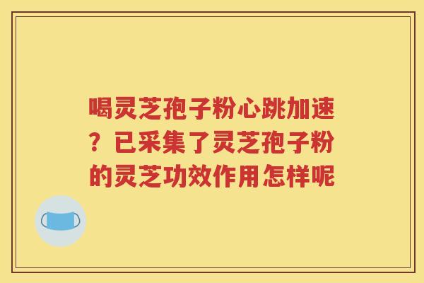 喝灵芝孢子粉心跳加速？已采集了灵芝孢子粉的灵芝功效作用怎样呢