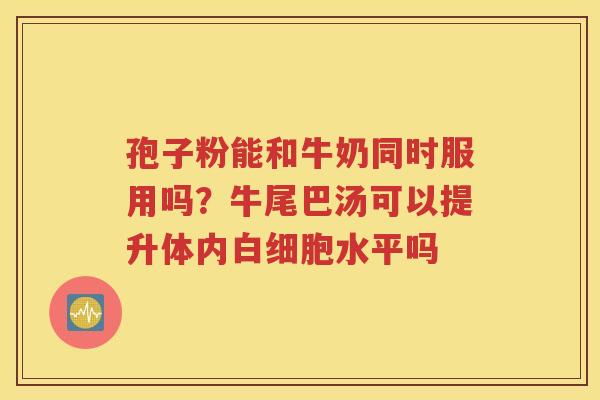 孢子粉能和牛奶同时服用吗？牛尾巴汤可以提升体内白细胞水平吗