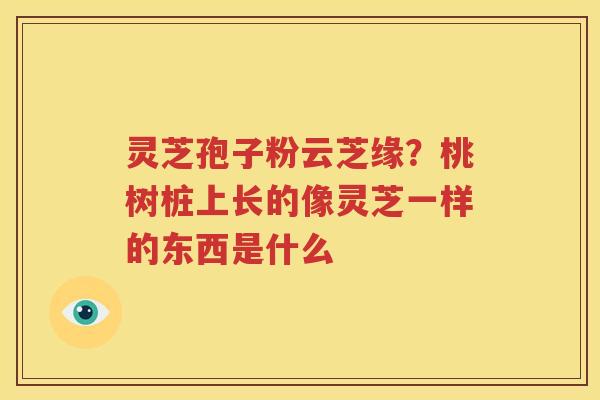 灵芝孢子粉云芝缘？桃树桩上长的像灵芝一样的东西是什么