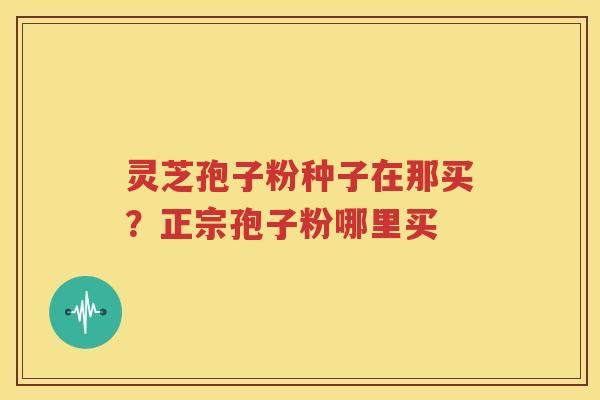 灵芝孢子粉种子在那买？正宗孢子粉哪里买