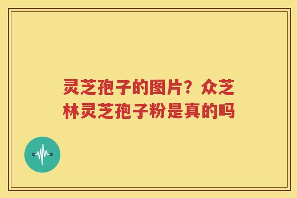 灵芝孢子的图片？众芝林灵芝孢子粉是真的吗