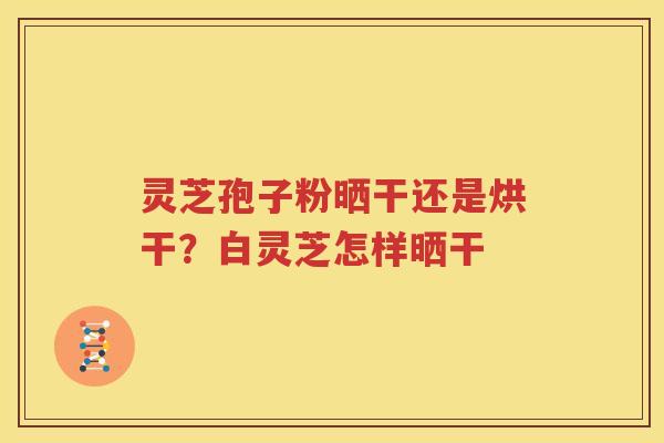 灵芝孢子粉晒干还是烘干？白灵芝怎样晒干