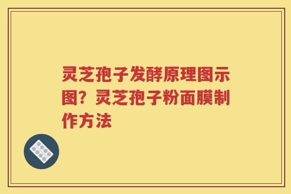 灵芝孢子发酵原理图示图？灵芝孢子粉面膜制作方法