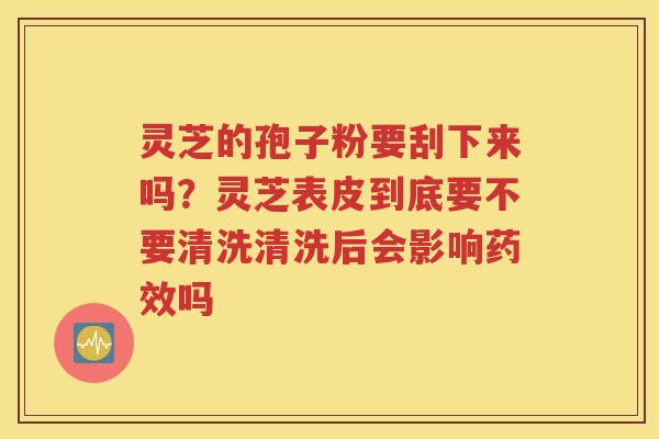 灵芝的孢子粉要刮下来吗？灵芝表皮到底要不要清洗清洗后会影响药效吗