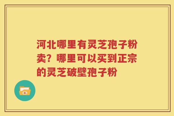 河北哪里有灵芝孢子粉卖？哪里可以买到正宗的灵芝破壁孢子粉