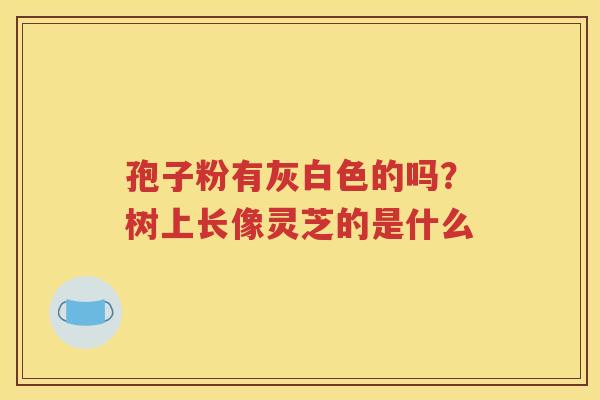 孢子粉有灰白色的吗？树上长像灵芝的是什么