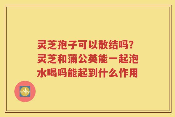 灵芝孢子可以散结吗？灵芝和蒲公英能一起泡水喝吗能起到什么作用