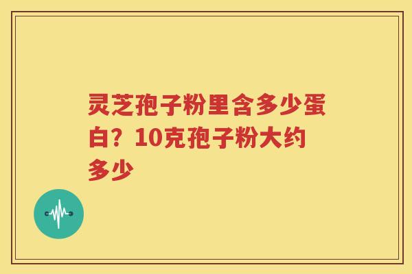 灵芝孢子粉里含多少蛋白？10克孢子粉大约多少