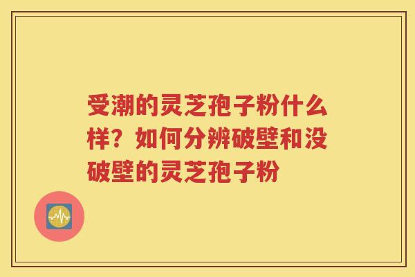 受潮的灵芝孢子粉什么样？如何分辨破壁和没破壁的灵芝孢子粉
