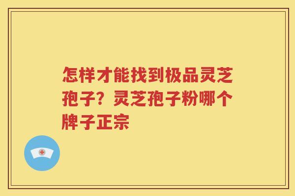 怎样才能找到极品灵芝孢子？灵芝孢子粉哪个牌子正宗