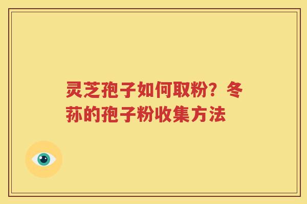 灵芝孢子如何取粉？冬荪的孢子粉收集方法