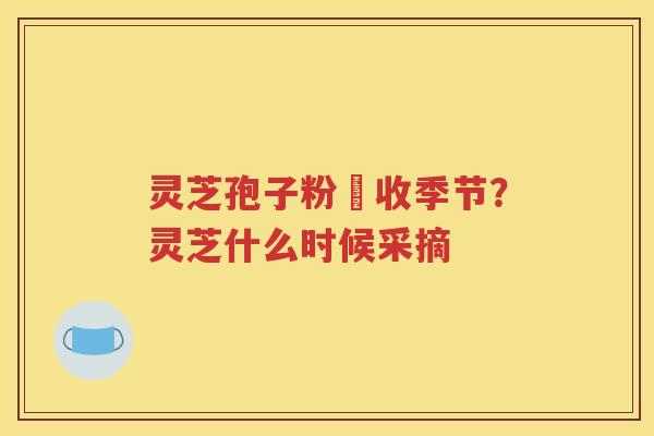 灵芝孢子粉釆收季节？灵芝什么时候采摘