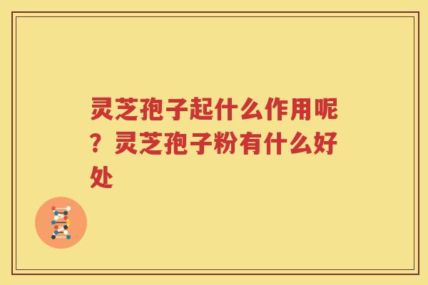 灵芝孢子起什么作用呢？灵芝孢子粉有什么好处
