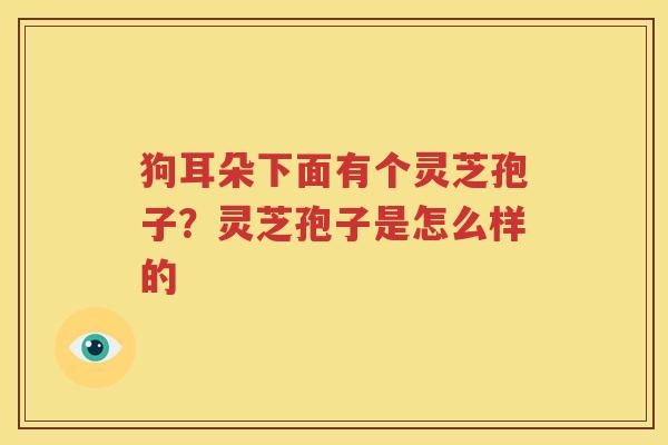 狗耳朵下面有个灵芝孢子？灵芝孢子是怎么样的