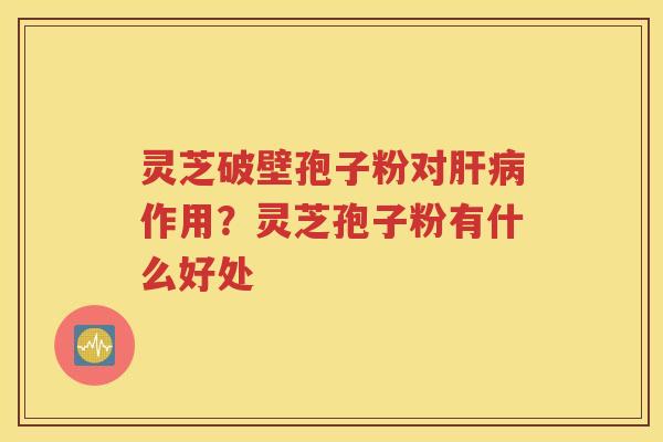 灵芝破壁孢子粉对肝病作用？灵芝孢子粉有什么好处