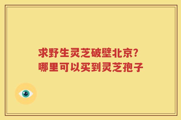 求野生灵芝破壁北京？哪里可以买到灵芝孢子