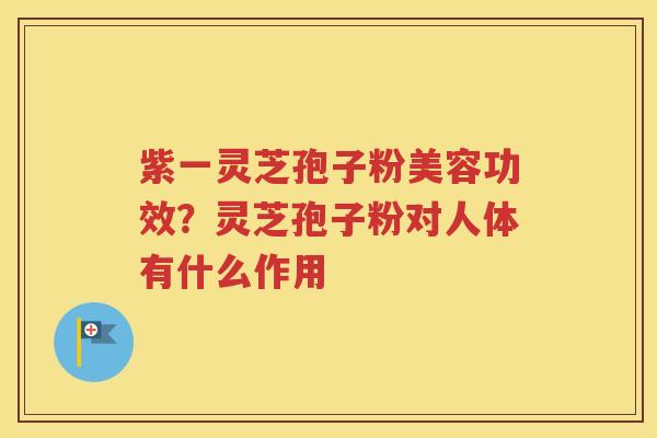 紫一灵芝孢子粉美容功效？灵芝孢子粉对人体有什么作用