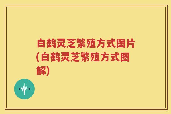 白鹤灵芝繁殖方式图片(白鹤灵芝繁殖方式图解)