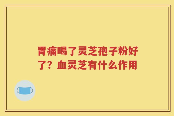 胃痛喝了灵芝孢子粉好了？血灵芝有什么作用