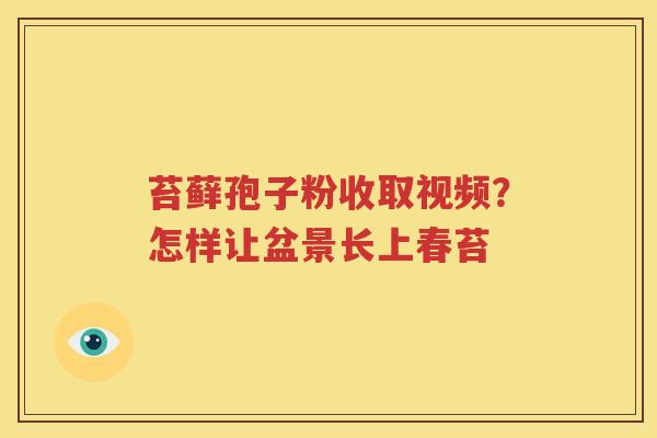 苔藓孢子粉收取视频？怎样让盆景长上春苔