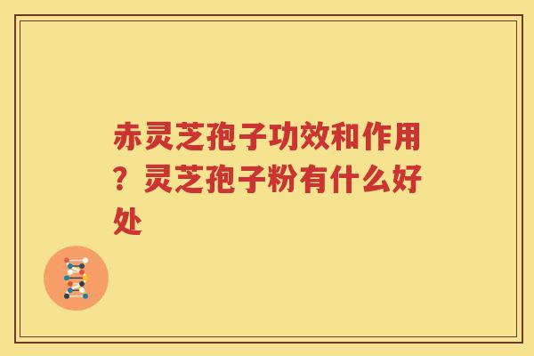 赤灵芝孢子功效和作用？灵芝孢子粉有什么好处